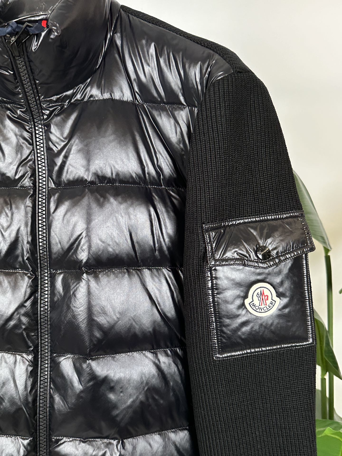 Moncler Down Jackets